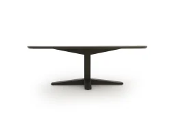 Apple Bee Zanzibar Deens Ovaal dining tuintafel 220x110x77cm