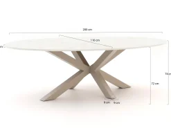 Bellagio Induno Ellips dining tuintafel 200x110cm