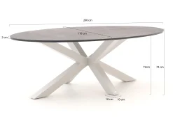 Bellagio Induno Ellips dining tuintafel 200x110cm