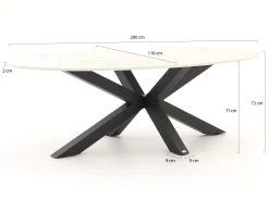 Bellagio Induno Ellips dining tuintafel 200x110cm