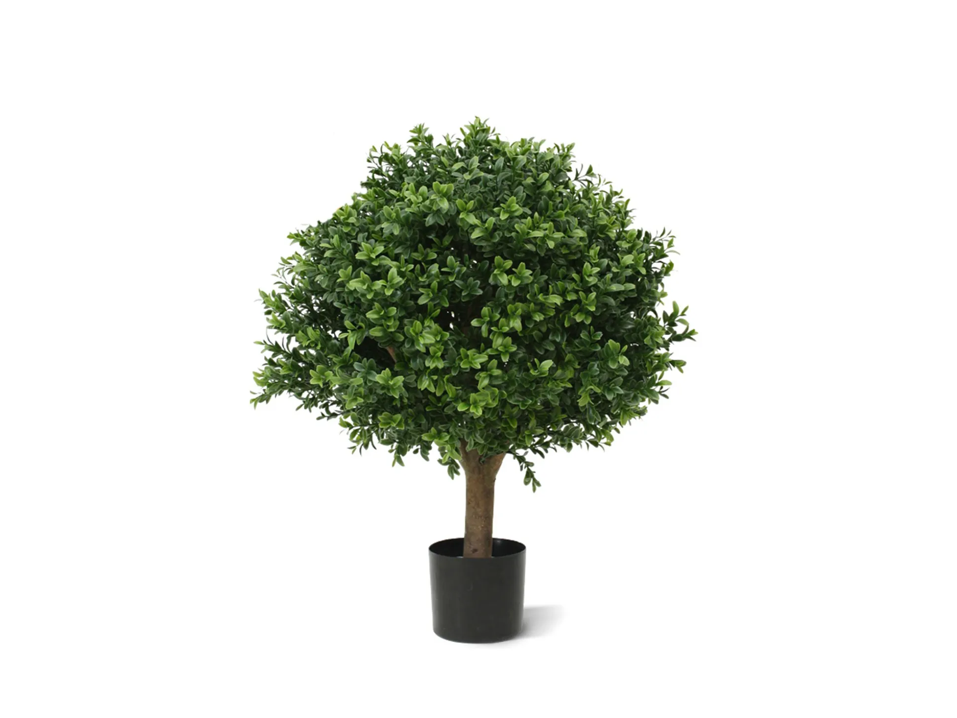 Designplants Buxus bol kunstplant (h:40cm)