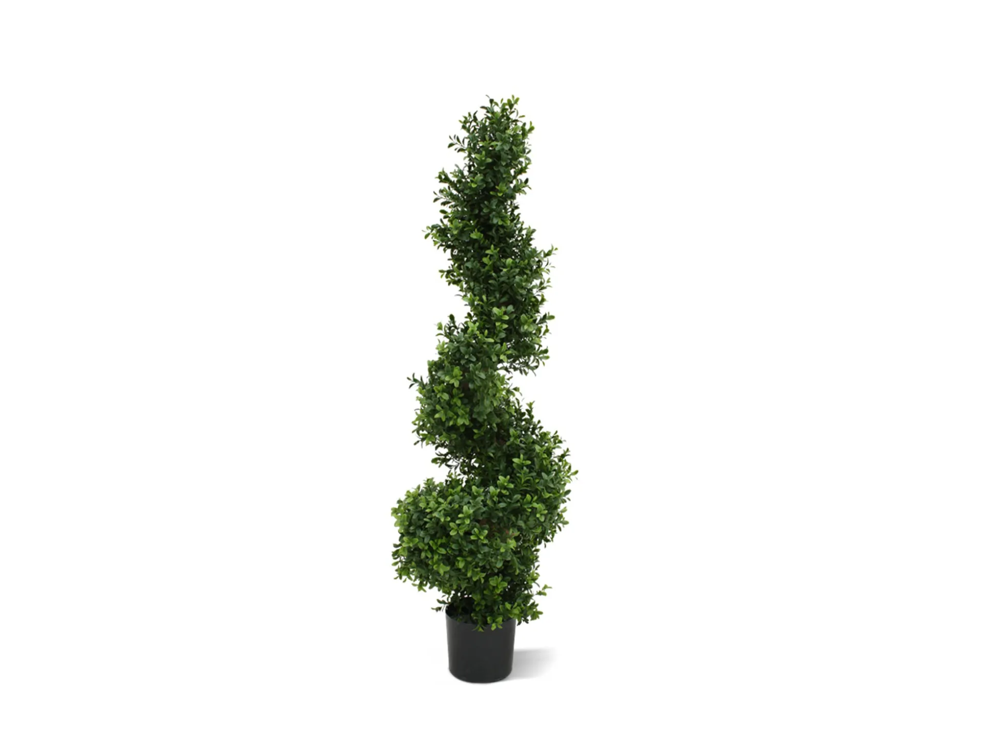 Designplants Buxus spiraal kunstboom (h:100cm)