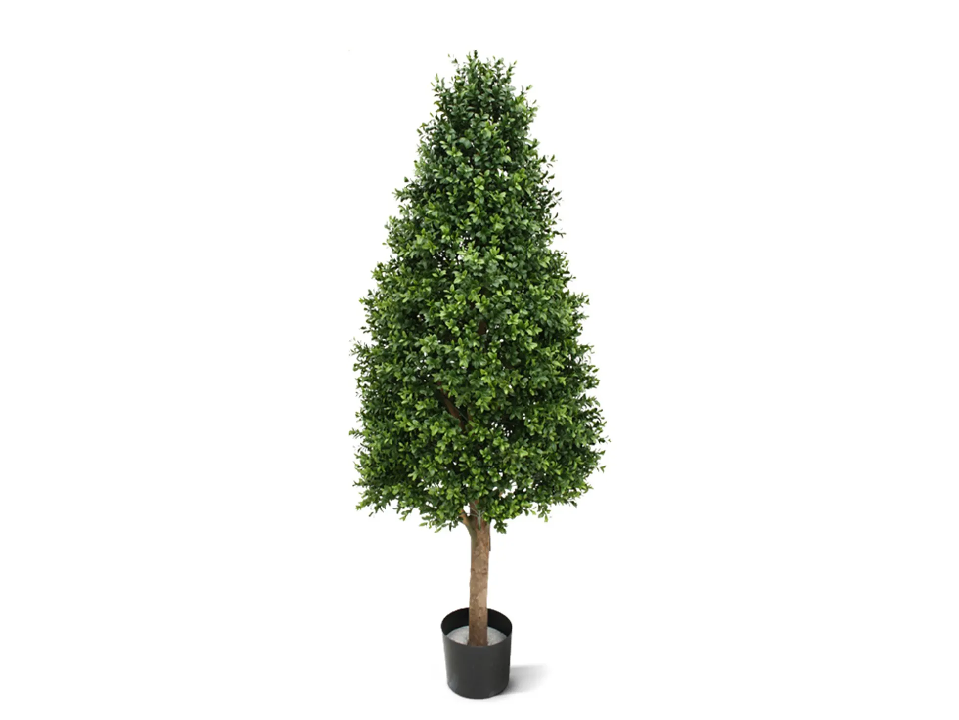 Designplants Buxus tower kunstplant (h:140cm)