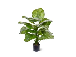Designplants Calathea Fasciata kunstplant (h:70cm)