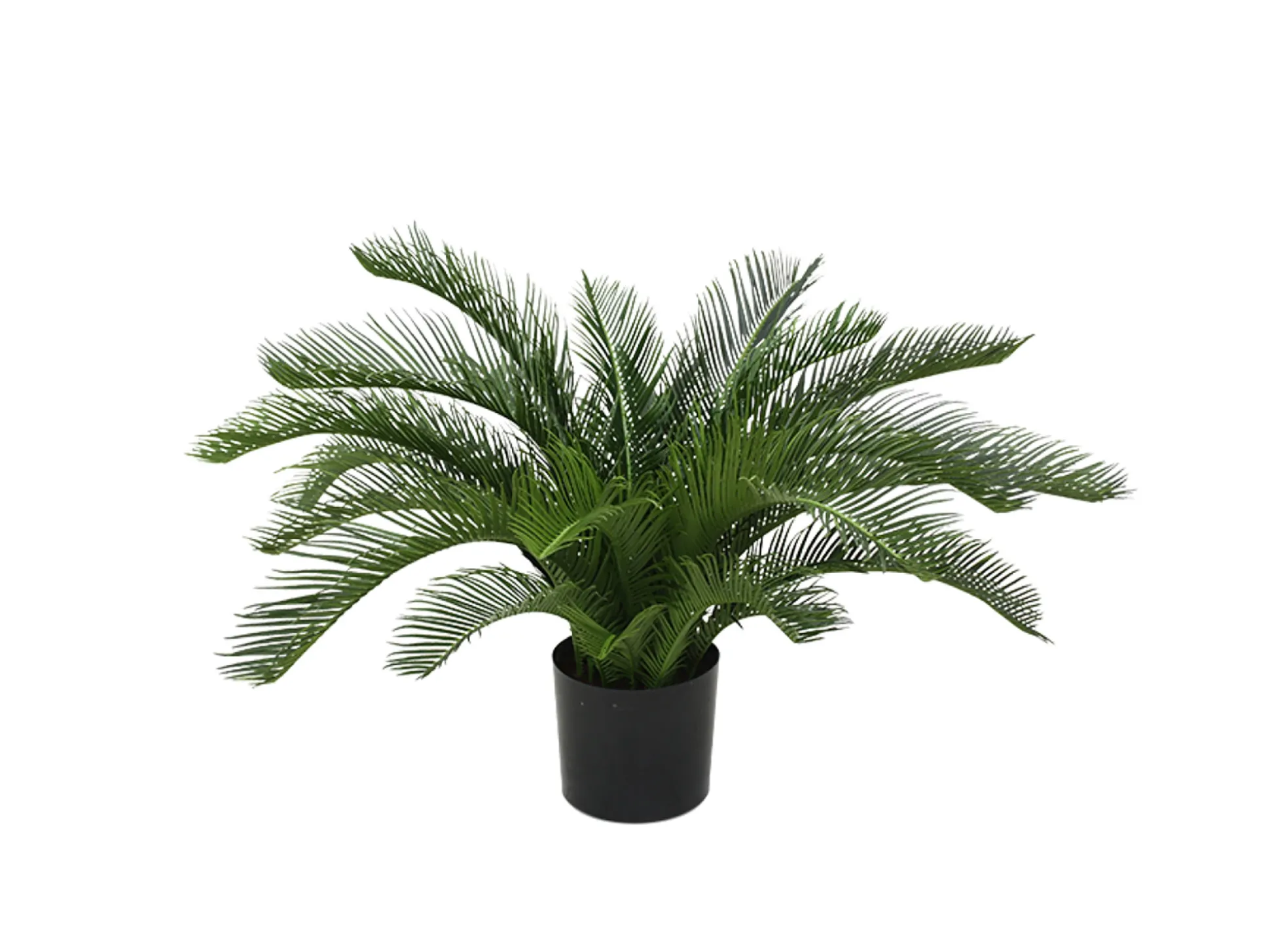Designplants Cycas palm kunstplant (h:60cm)