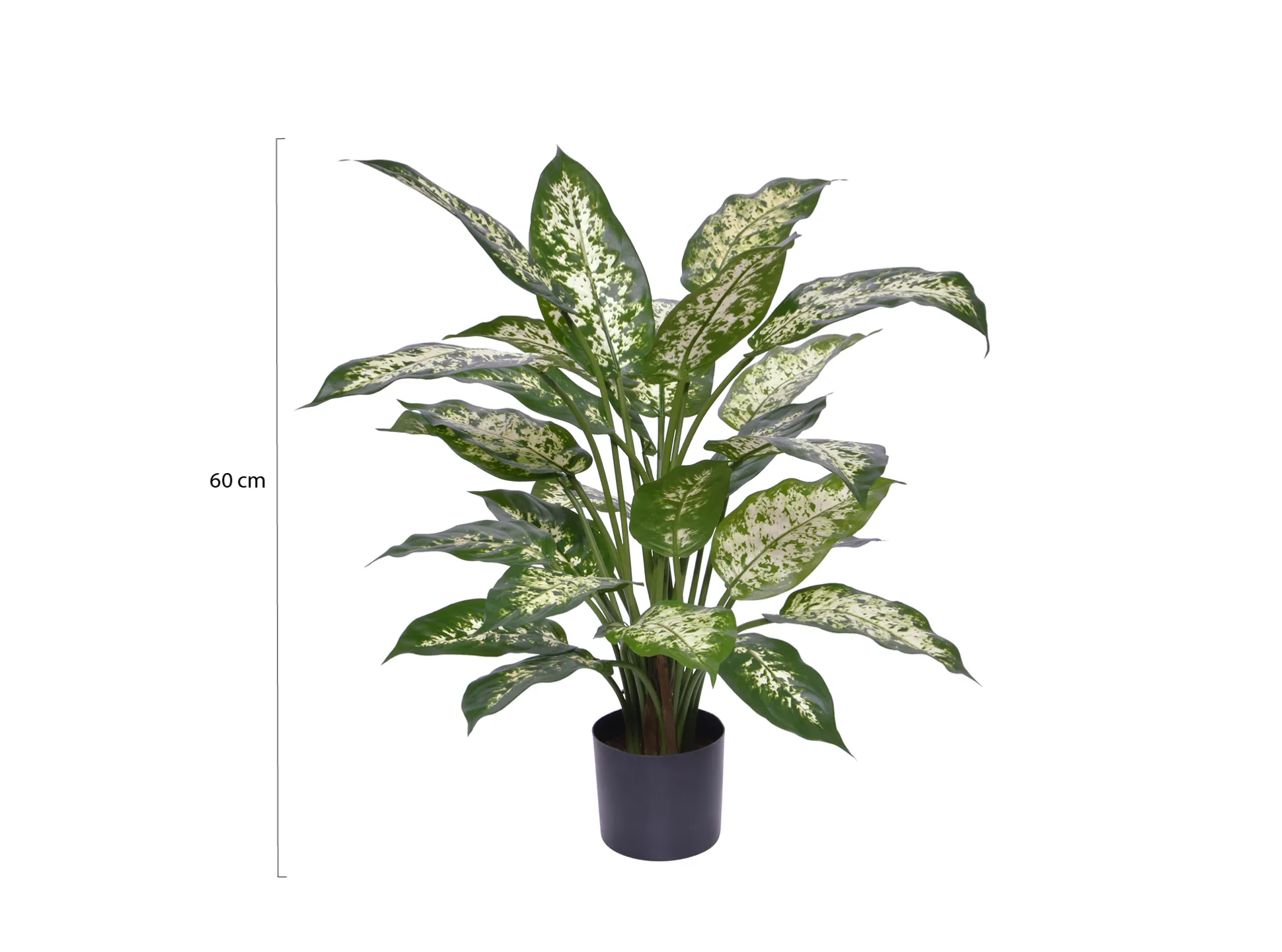 Designplants Dieffenbachia kunstplant (h:60cm)