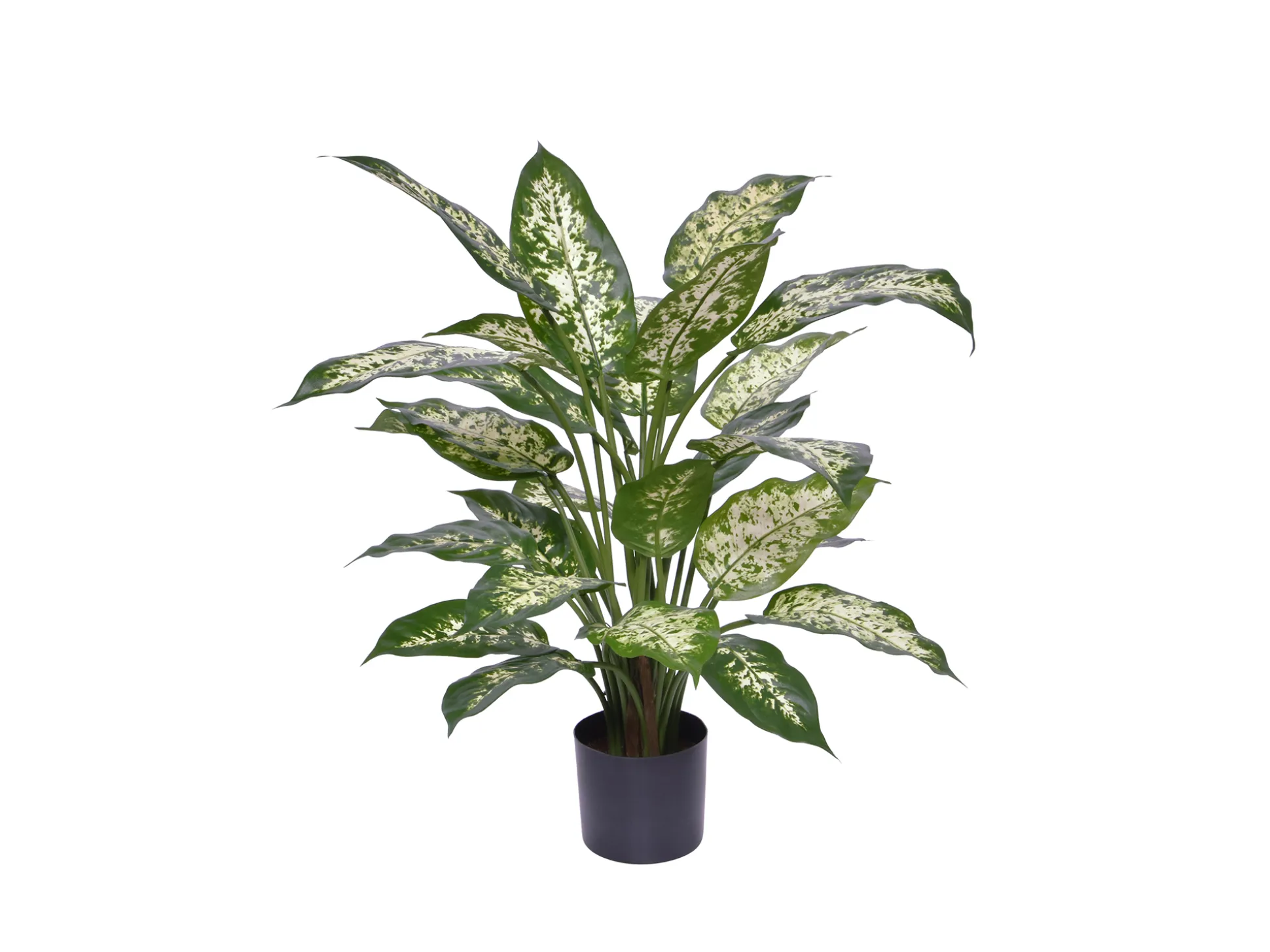 Designplants Dieffenbachia kunstplant (h:60cm)