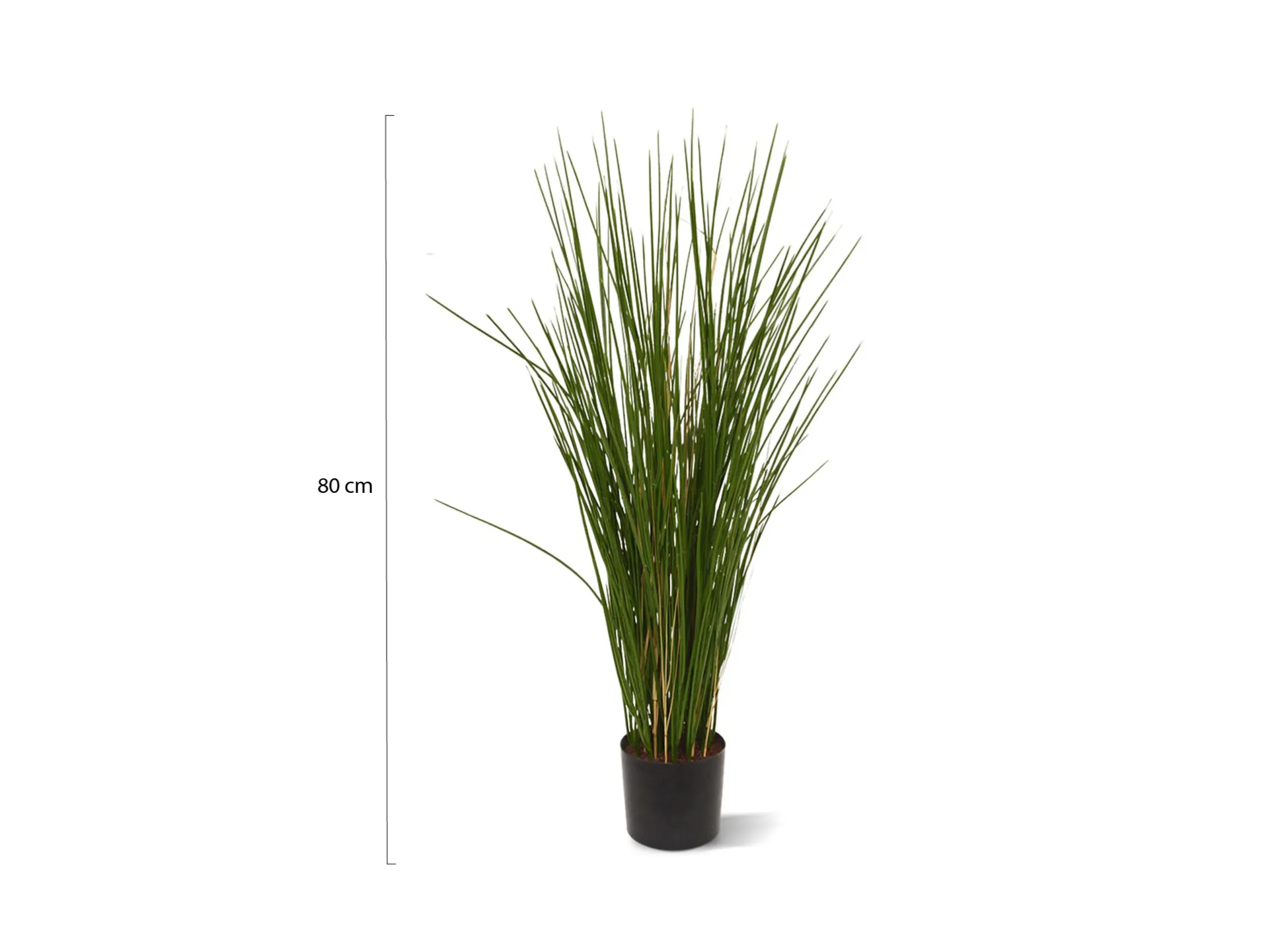 Designplants Gras kunstplant (h:80cm)