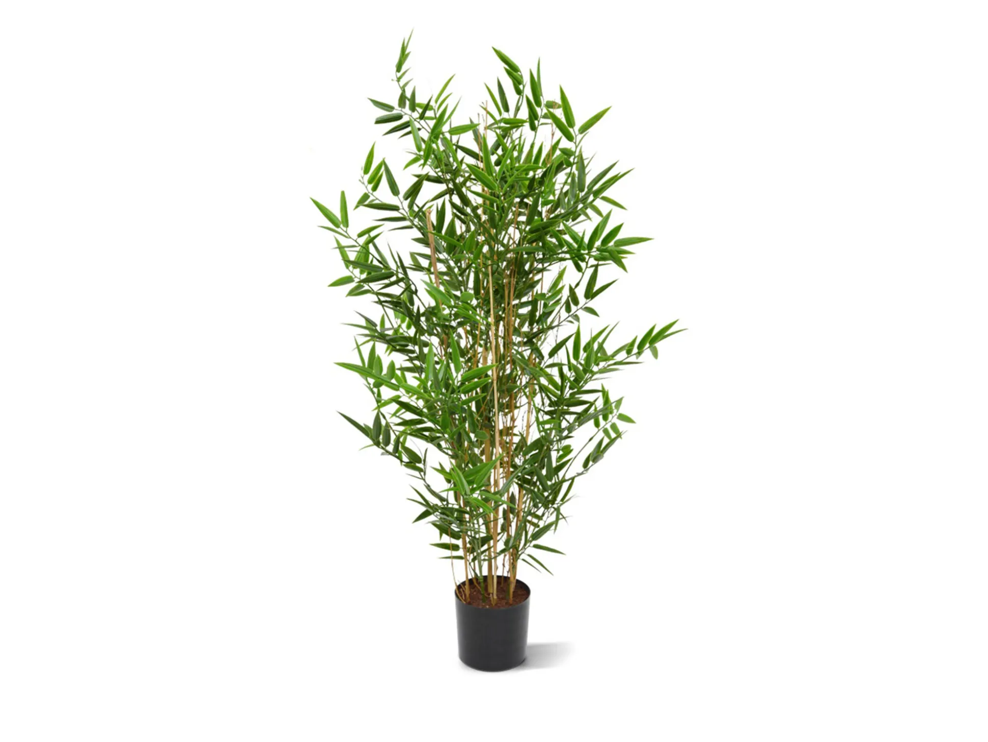 Designplants Japanse Bamboe kunstplant (h:90cm)