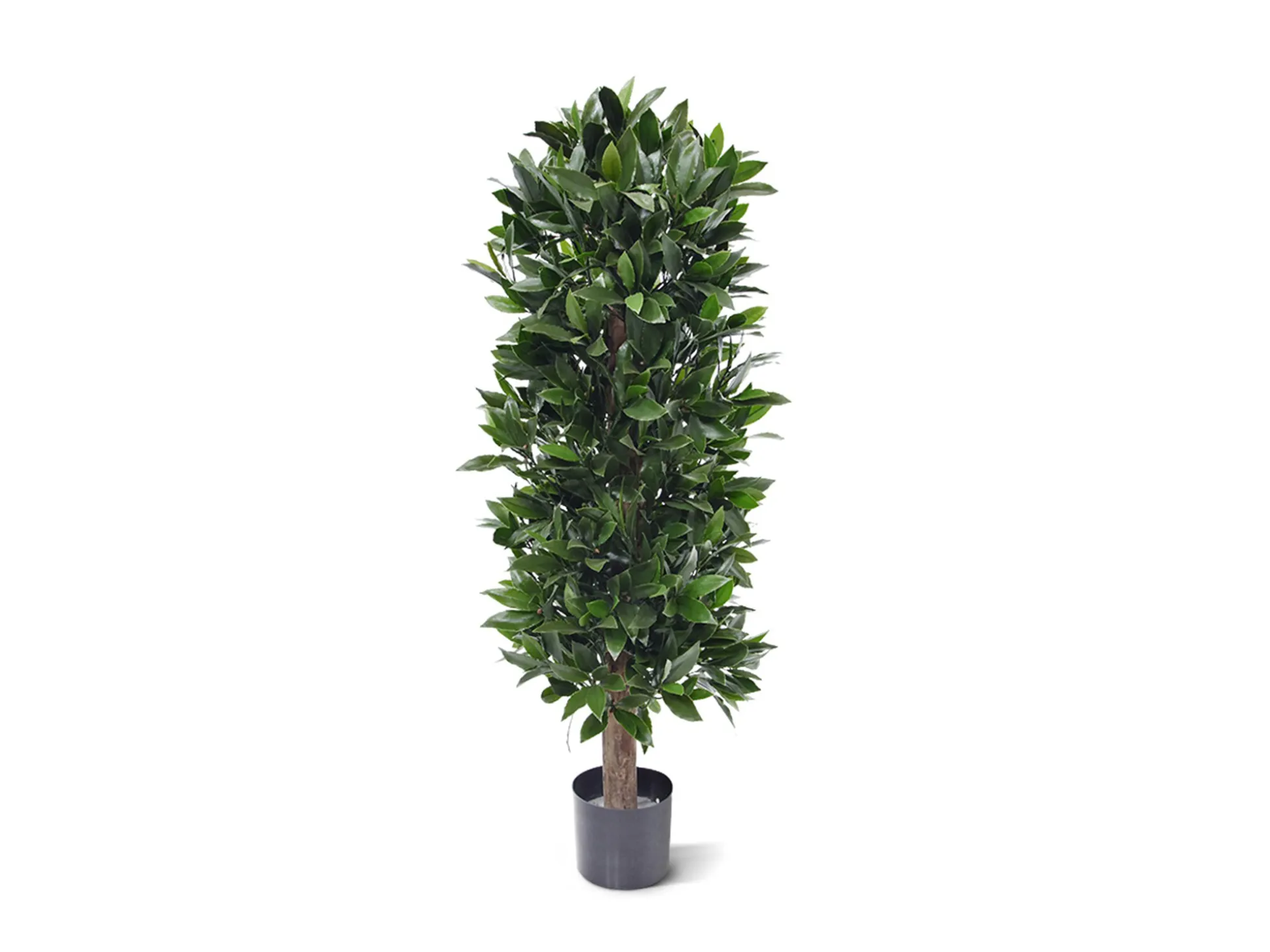 Designplants Laurier kolom kunstplant (h:125cm)