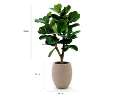 Designplants/Luca Lifestyle Lyrata Y kunstboom (h:130cm) met Bordo Tall Balloon bloempot