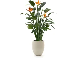 Designplants/Luca Lifestyle Strelitzia kunstplant (h:145cm) met Grigio Tall Balloon bloempot