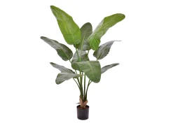 Designplants/Luca Lifestyle Strelitzia Nicolai kunstplant (h:145cm) met Terreno New Egg bloempot