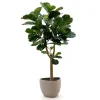 Designplants/Luca Lifestyle Lyrata Y kunstboom (h:170cm) met Ruvido Organic bloempot