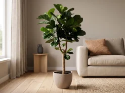 Designplants/Luca Lifestyle Lyrata Y kunstboom (h:170cm) met Ruvido Organic bloempot