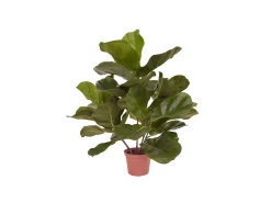 Designplants/Luca Lifestyle Lyrata kunstplant (h:45cm) met Bordo Balloon bloempot
