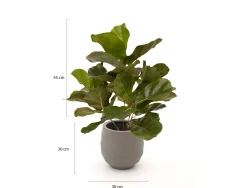 Designplants/Luca Lifestyle Lyrata kunstplant (h:45cm) met Bordo Balloon bloempot