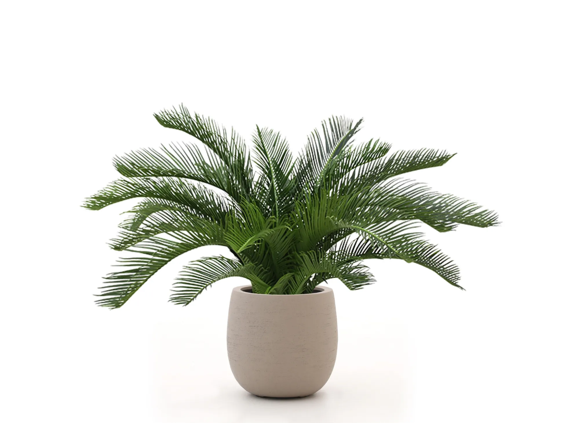 Designplants/Luca Lifestyle Cycas palm kunstplant (h:60cm) met Terreno Tall Balloon bloempot