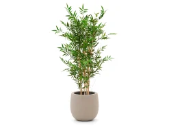 Designplants/Luca Lifestyle Japanse Bamboe kunstplant (h:120cm) met Terreno Balloon bloempot