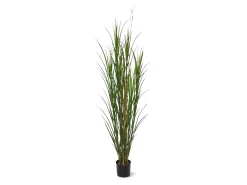 Designplants/Luca Lifestyle Rietgras kunstplant (h:165cm) met Terreno Bowl bloempot