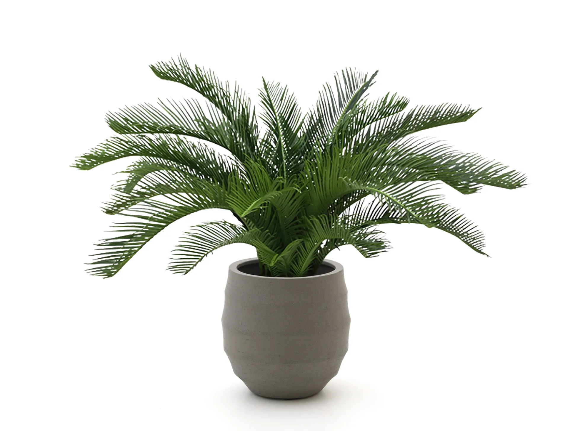 Designplants/Luca Lifestyle Cycas palm kunstplant (h:60cm) met Bordo Balloon bloempot