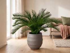 Designplants/Luca Lifestyle Cycas palm kunstplant (h:60cm) met Bordo Balloon bloempot