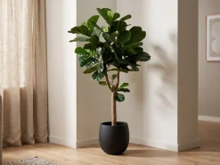 Designplants/Luca Lifestyle Lyrata Y kunstboom (h:170cm) met Grigio Balloon bloempot