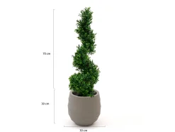 Designplants/Luca Lifestyle Buxus spiraal kunstboom (h:100cm) met Bordo Balloon bloempot