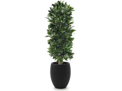 Designplants/Luca Lifestyle Laurier kolom kunstplant (h:125cm) met Grigio Tall Balloon bloempot