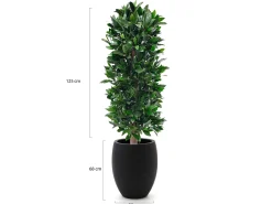 Designplants/Luca Lifestyle Laurier kolom kunstplant (h:125cm) met Grigio Tall Balloon bloempot