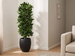 Designplants/Luca Lifestyle Laurier kolom kunstplant (h:125cm) met Grigio Tall Balloon bloempot