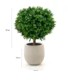 Designplants/Luca Lifestyle Buxus bol kunstplant (h:50cm) met Grigio Balloon bloempot