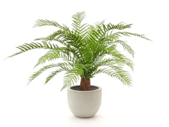 Designplants/Luca Lifestyle Alsophillia varen kunstplant (h:80cm) met Grigio New Egg bloempot