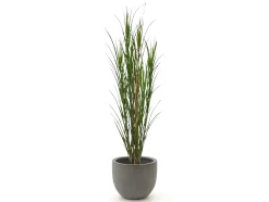 Designplants/Luca Lifestyle Rietgras kunstplant (h:165cm) met Grigio New Egg bloempot