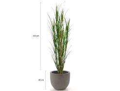Designplants/Luca Lifestyle Rietgras kunstplant (h:165cm) met Grigio New Egg bloempot