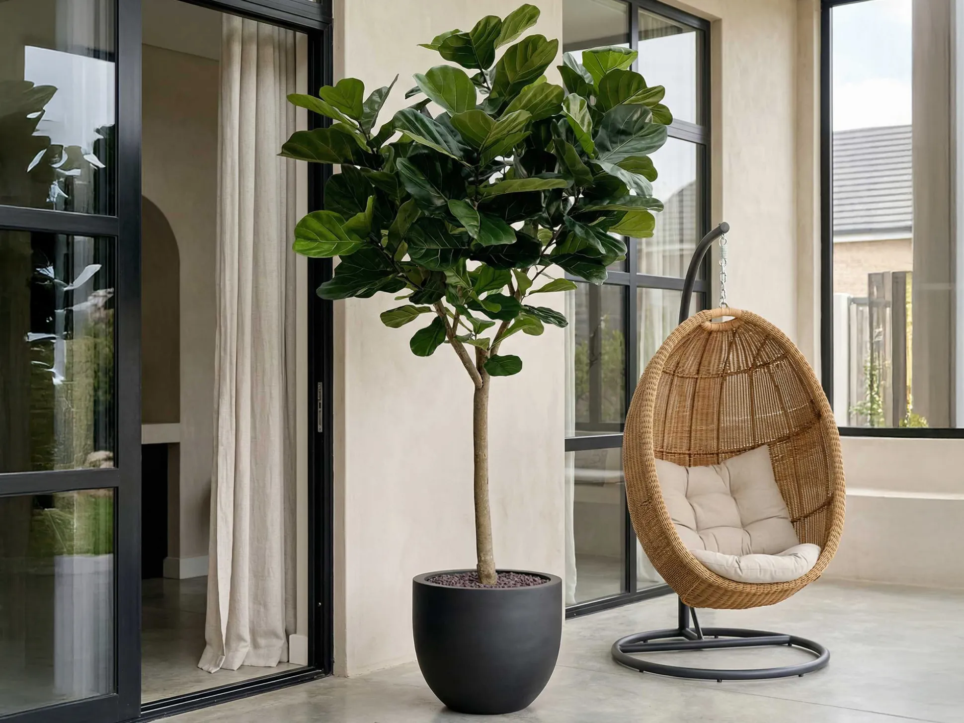 Designplants Lyrata Y kunstboom (h:170cm)