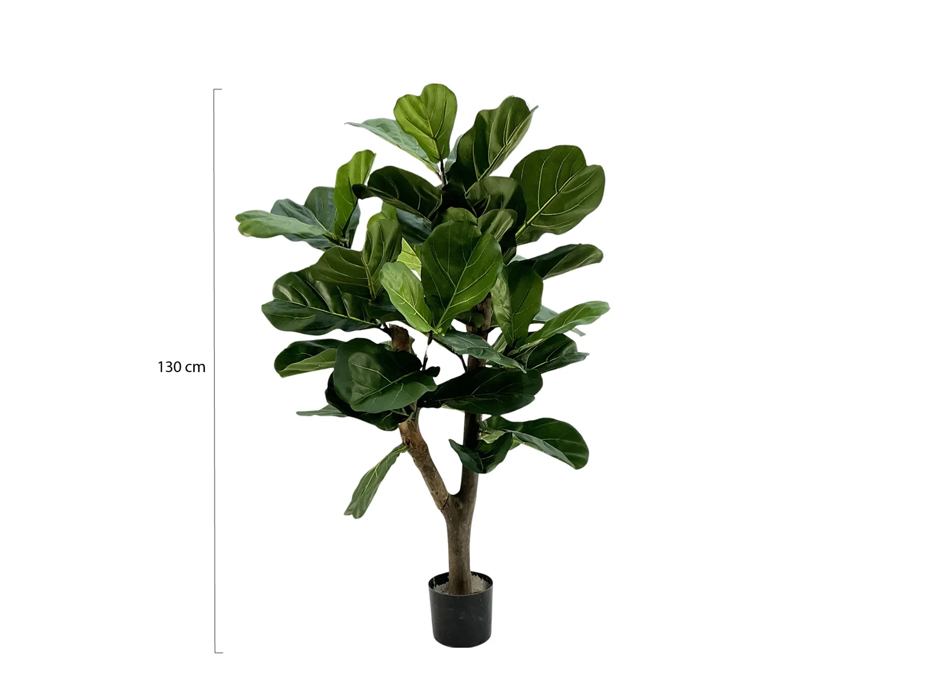 Designplants Lyrata Y kunstboom (h:130cm)