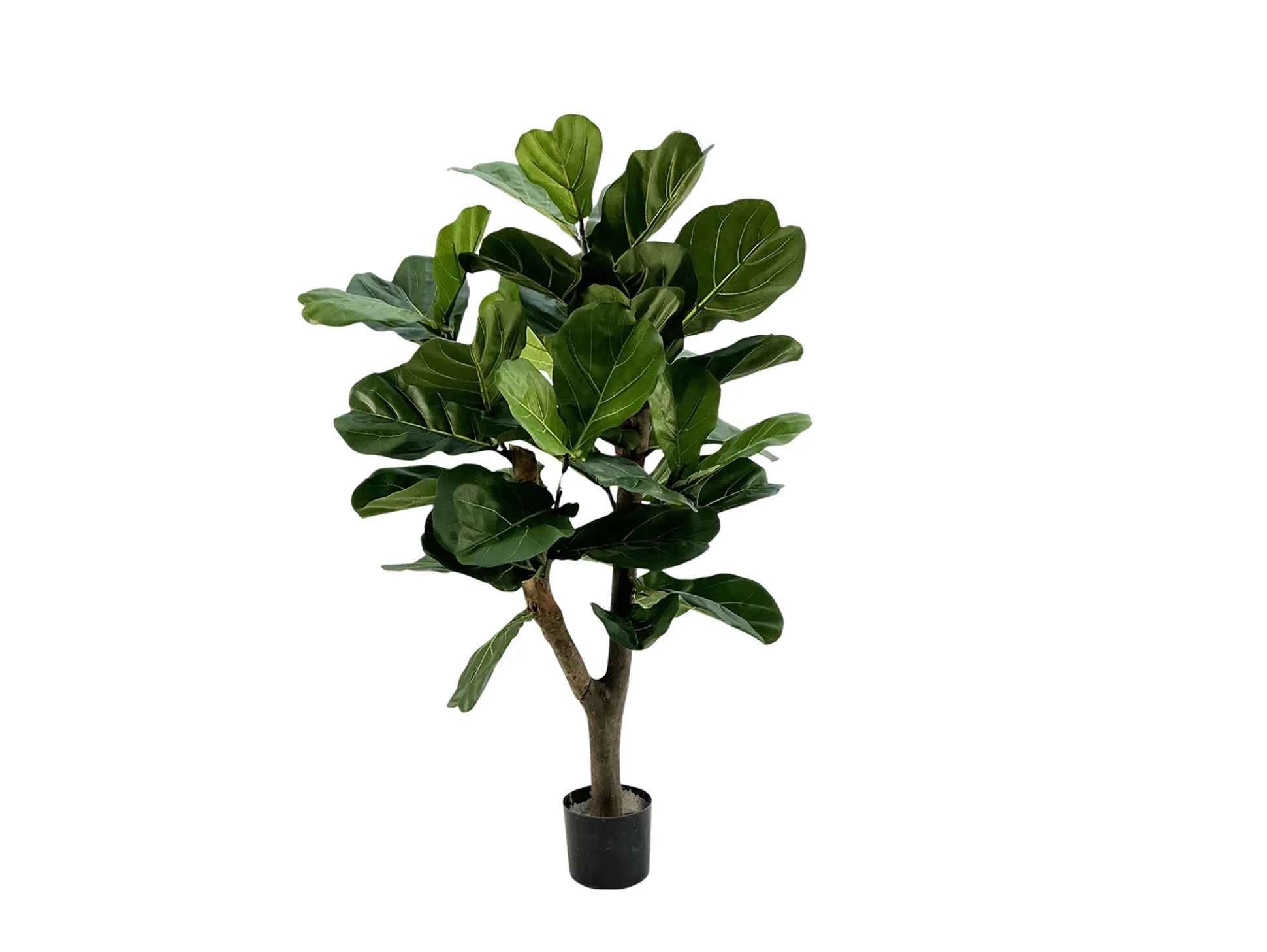 Designplants Lyrata Y kunstboom (h:130cm)