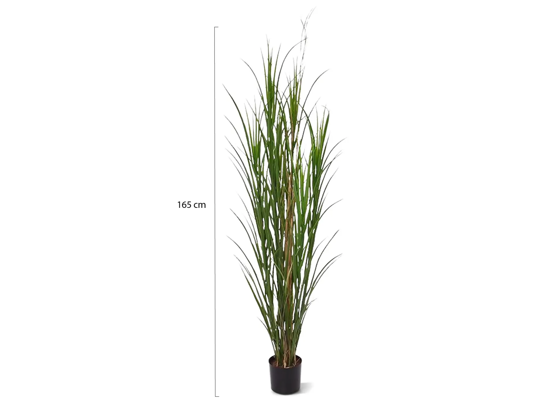 Designplants Rietgras kunstplant (h:165cm)