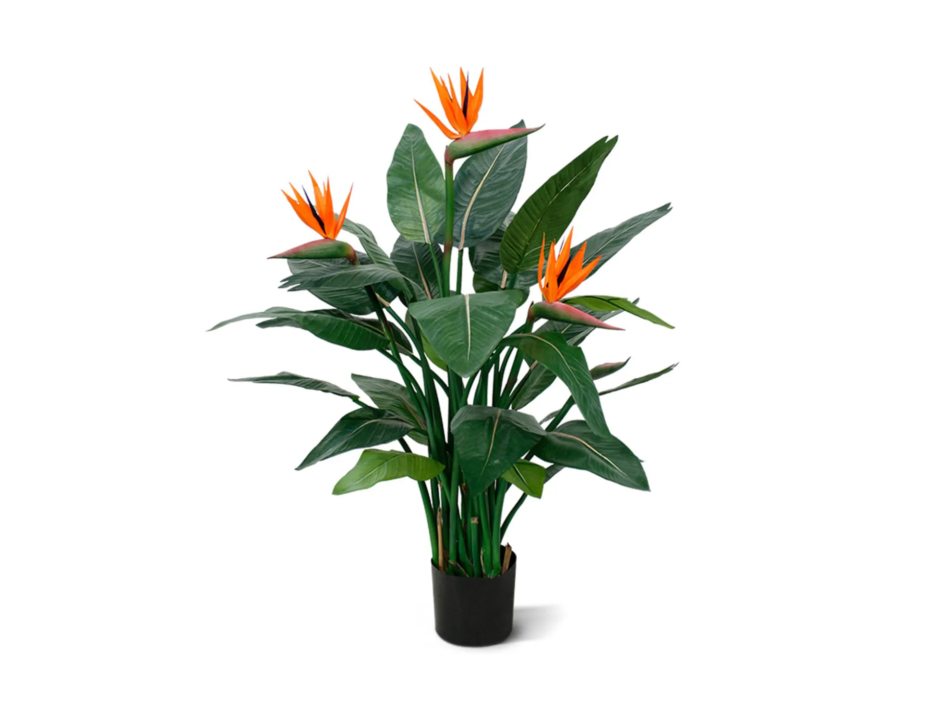 Designplants Strelitzia kunstplant (h:115cm)