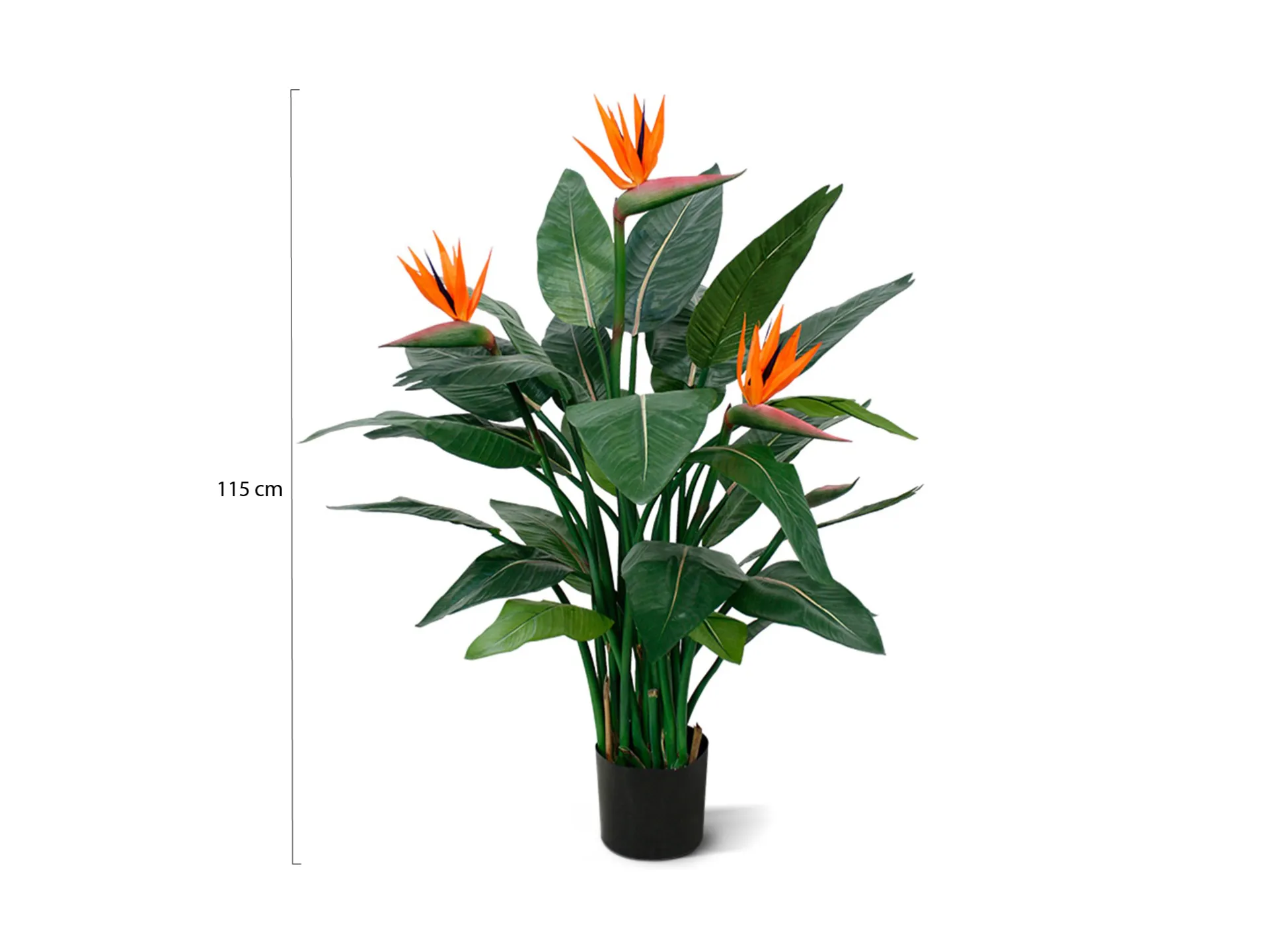 Designplants Strelitzia kunstplant (h:115cm)