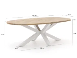 Manifesto Rivola/ROUGH-Y Ellips 200cm dining tuinset 7-delig