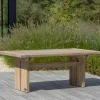 ROUGH-L lounge/dining tuintafel 160x90x61cm