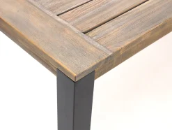 ROUGH-S dining tuintafel 300x90x76cm