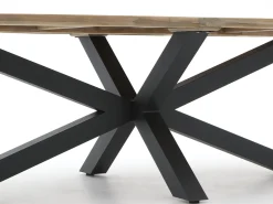 ROUGH-Y Ellips dining tuintafel 240x120cm