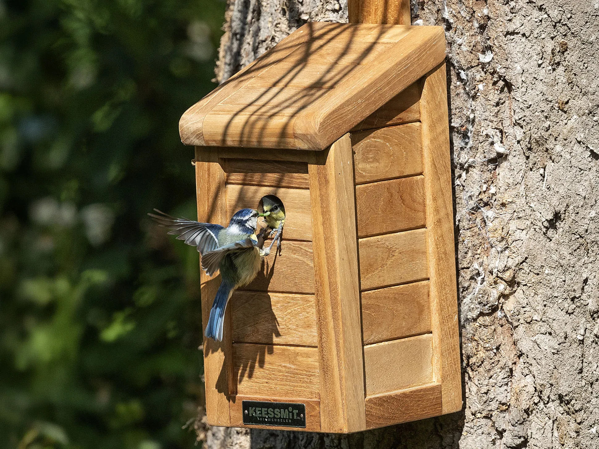 Sunyard Vogel Nestkastje